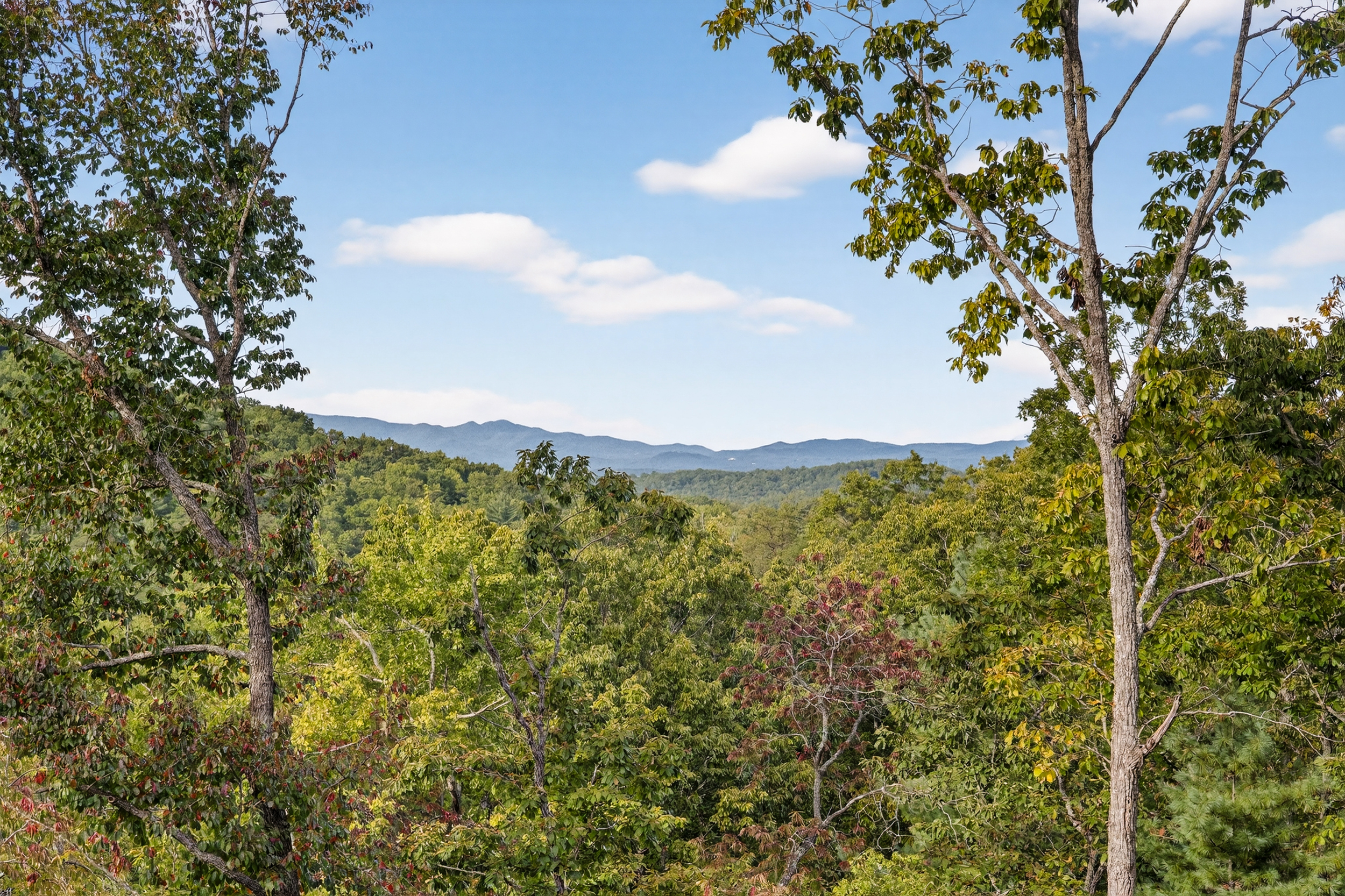 Upper level - photo 3